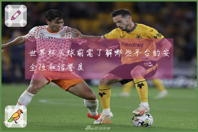 世界杯买球前需了解哪些平台的安全性和信誉度