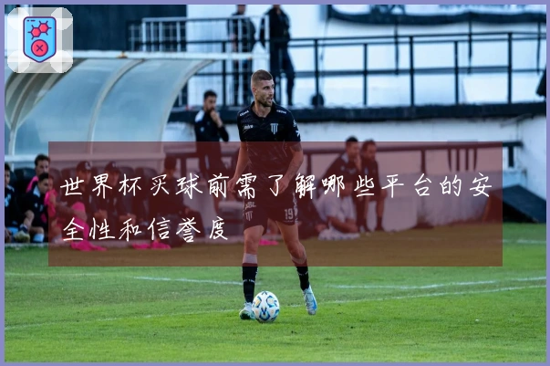 世界杯买球前需了解哪些平台的安全性和信誉度