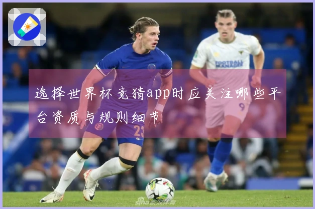 选择世界杯竞猜app时应关注哪些平台资质与规则细节